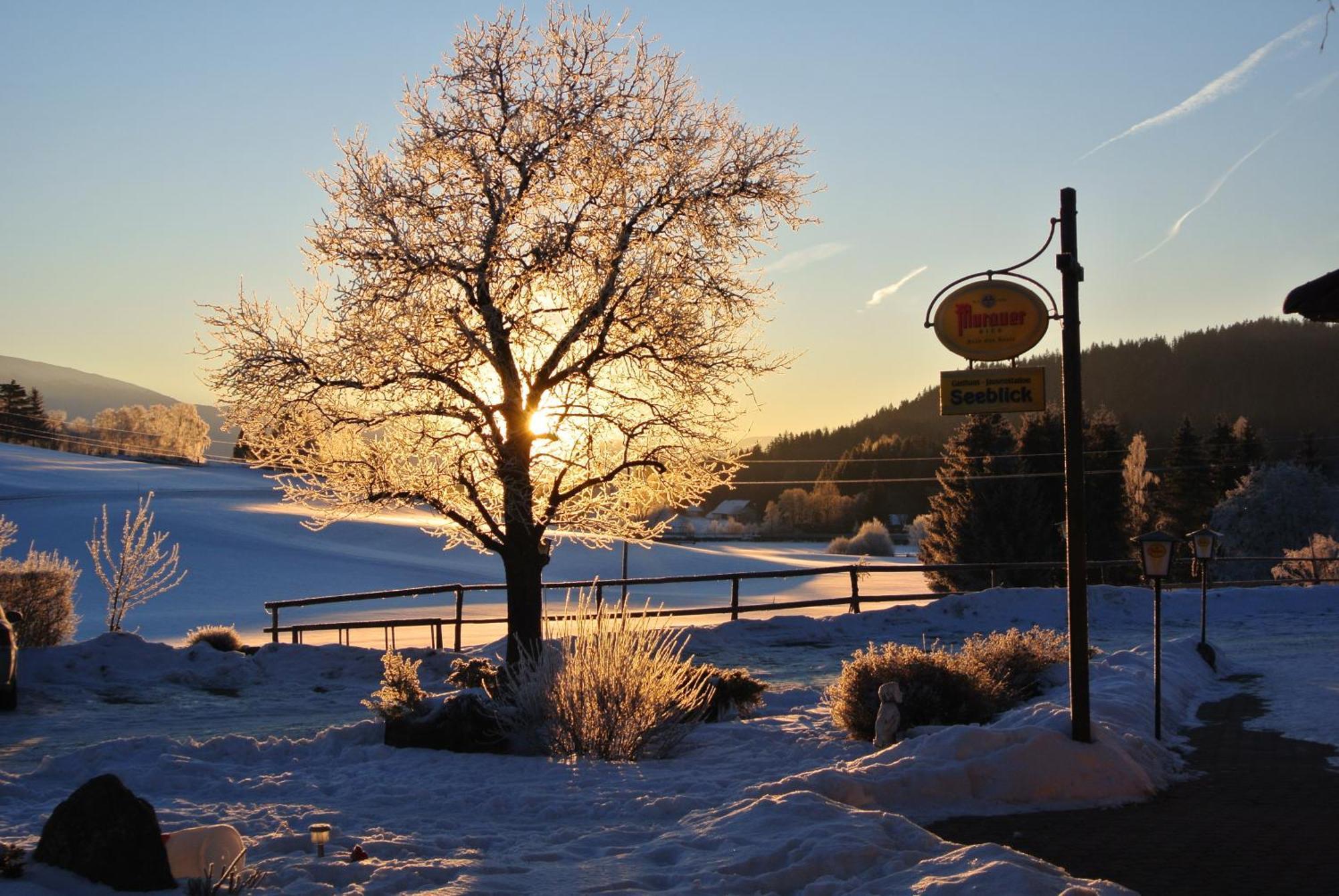 Hotel Gasthof Seeblick Zeutschach エクステリア 写真