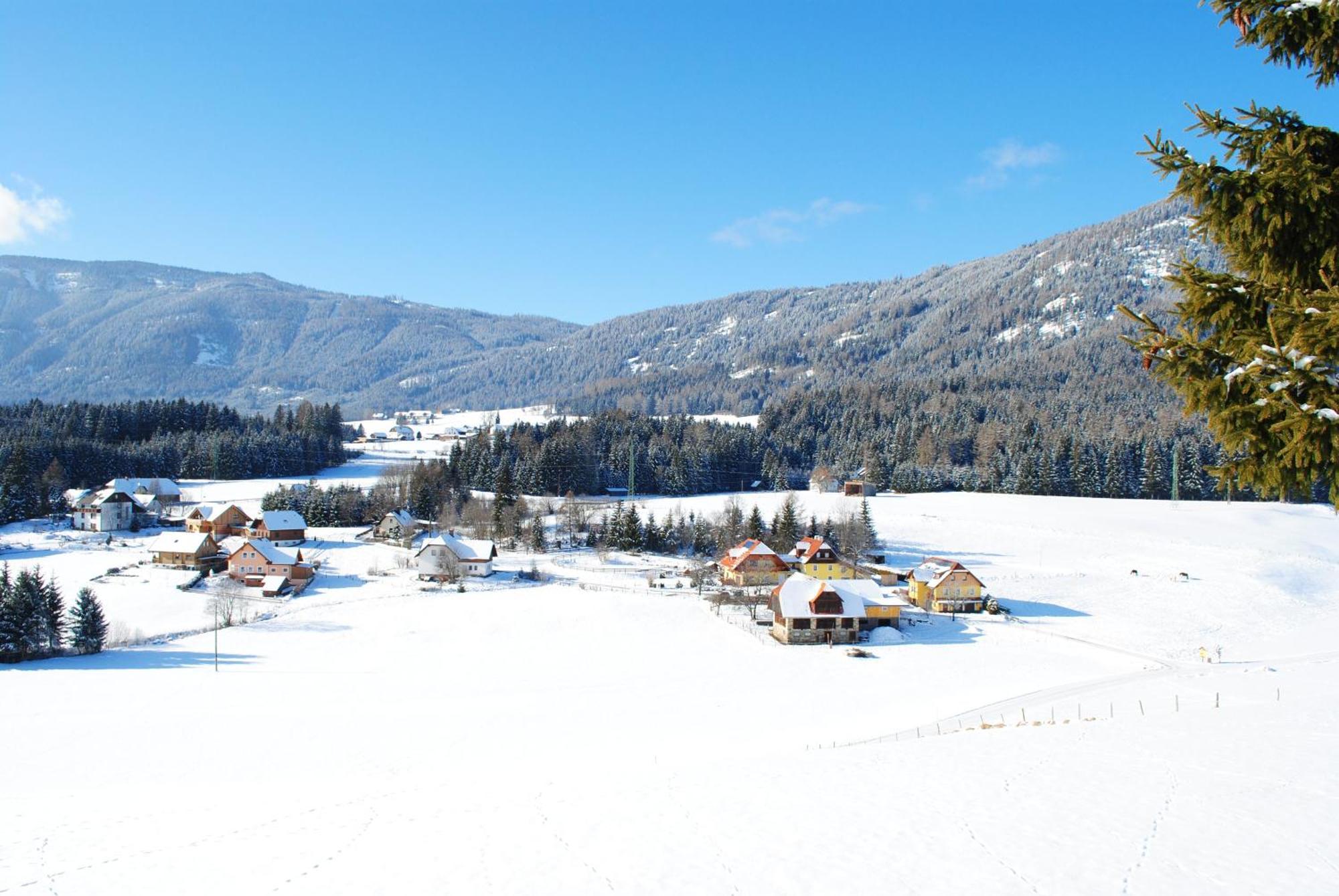 Hotel Gasthof Seeblick Zeutschach エクステリア 写真