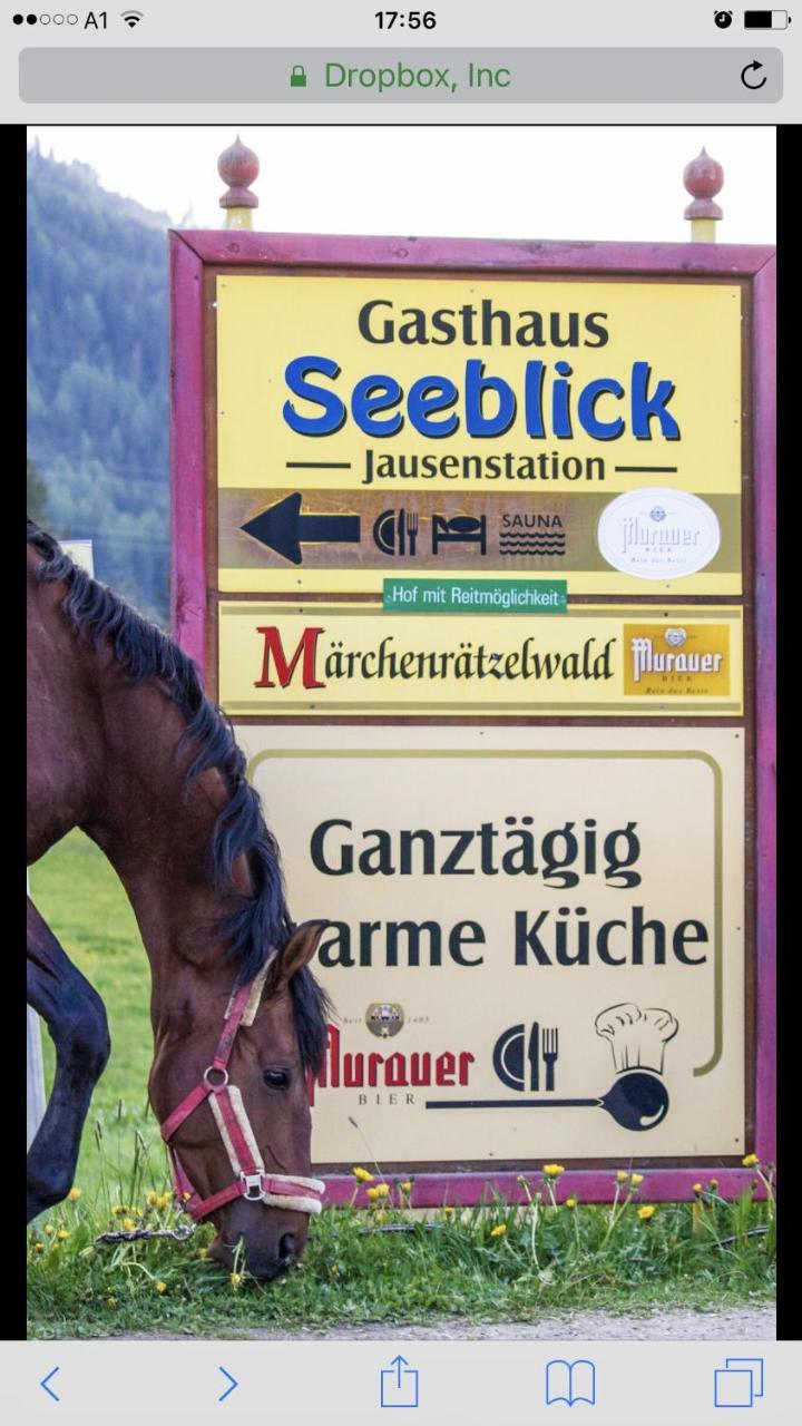 Hotel Gasthof Seeblick Zeutschach エクステリア 写真